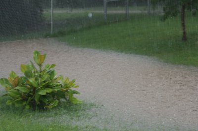 Back Yard Flooding July  2007 021.JPG