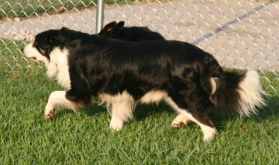 August 3 2007 190.JPG