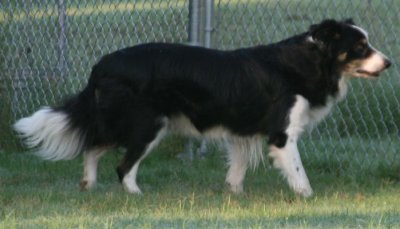 August 3 2007 192.JPG