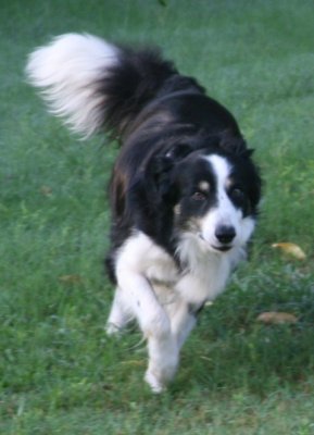 August 3 2007 195.JPG