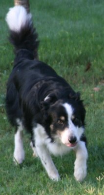 August 3 2007 196.JPG