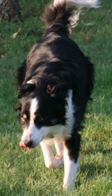August 3 2007 197.JPG