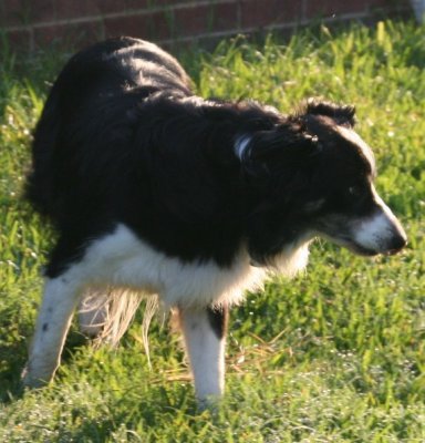 August 3 2007 208.JPG