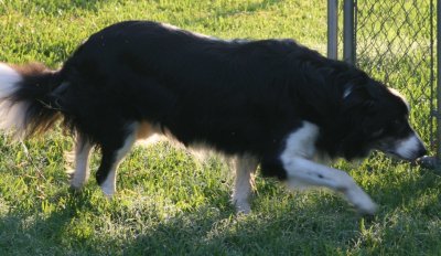 August 3 2007 209.JPG