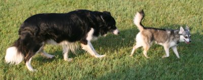 August 3 2007 210.JPG