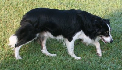 August 3 2007 211.JPG