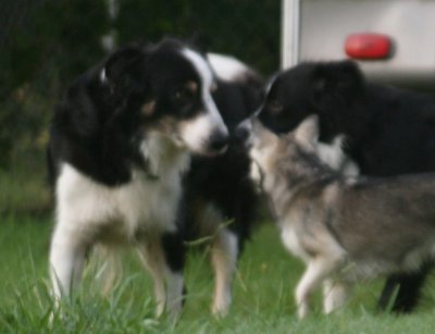 August 3 2007 213.JPG