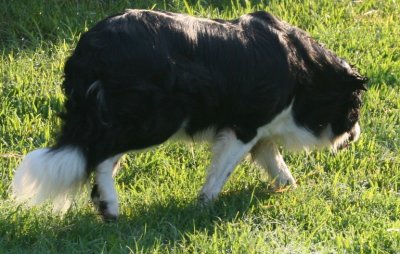 August 3 2007 219.JPG