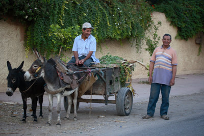 Transport cologique