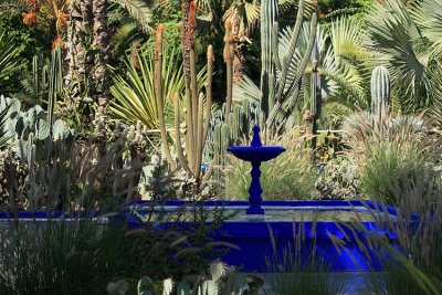 Les Jardins de Majorelle