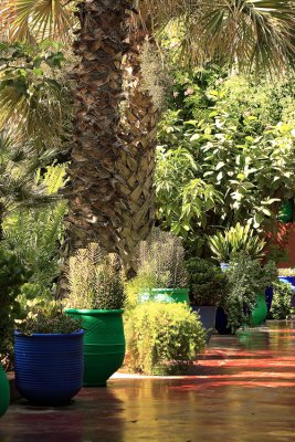 Les Jardins de Majorelle