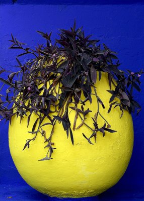 Les Jardins de Majorelle