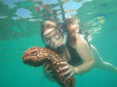 Scuba Diving