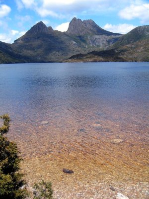 dove lake cradle mtn