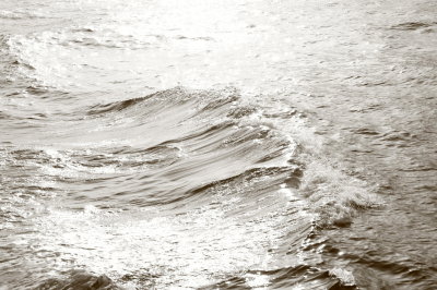 In the wake of the ferry