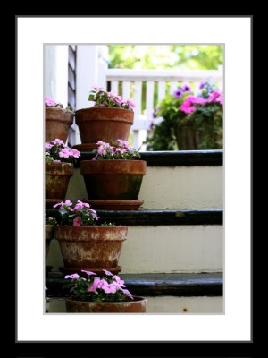 flowers on stairs