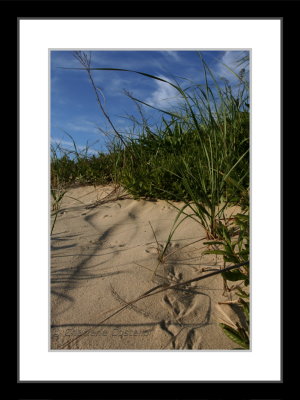 footprints on a dune