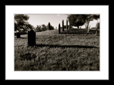 cemetery shadows