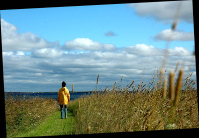 DSC_9941-m.jpg