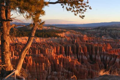 Bryce at first light