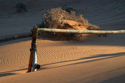 Sand dunes at dusk