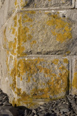 Seawall Corner