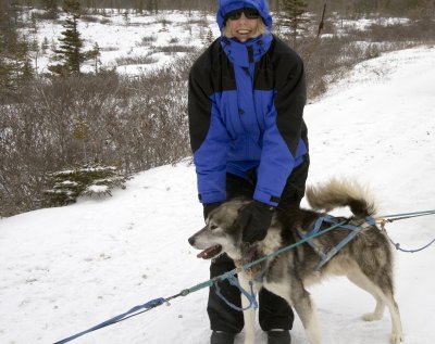 Helping the Sled Dog