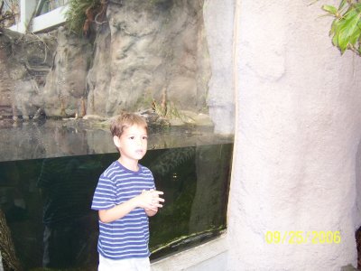 100_0752.JPG