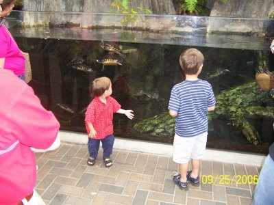 100_0753.JPG