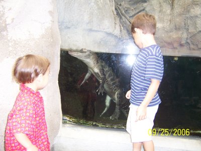 100_0754.JPG