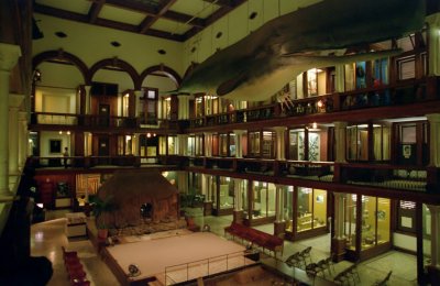 History and Hula in Bishop Museum, Honolulu