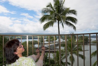 N1309 View at the Coconut Island