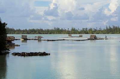 0816 Fish stands at Lake Fauna Nui