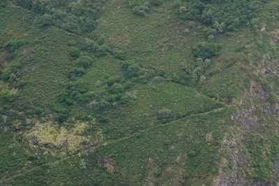 N1447 Climbing path on the rear side of Waipi'o