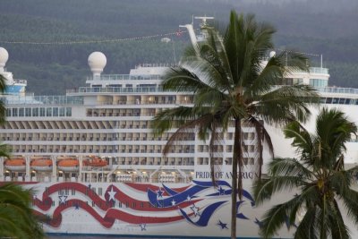 C4100 Dwarfing the Palm Trees