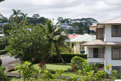 N1928 Uphill, finer part of Hilo