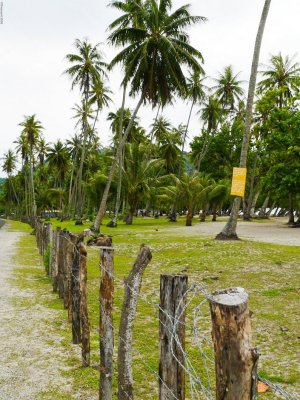 P491 Island of the Barbwire