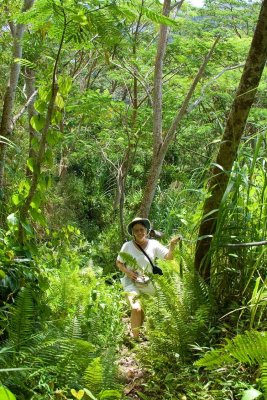 0955 Walk the dense forest