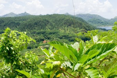 0967 Vista at Haapu Bay, Huahine-Iti