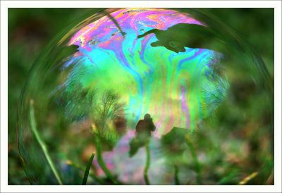 Bubble in the Grass