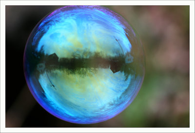 Landscape in a Bubble