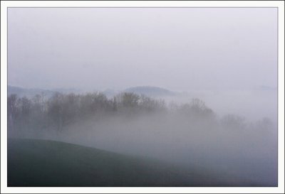 Morning Fog 1