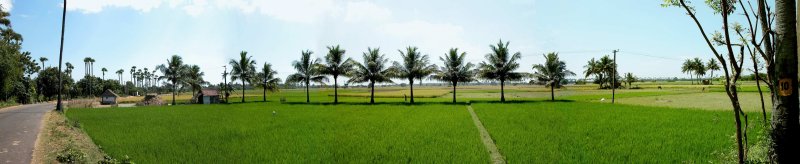 Road to Thirukalikundram
