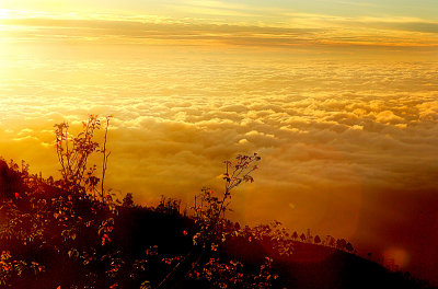 Kodaikanal above the clouds.