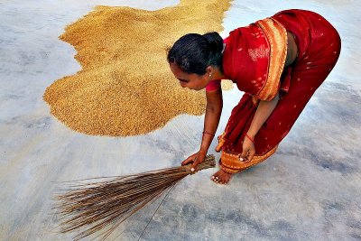Sweeping the rice