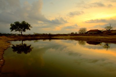 Early morning at the lake