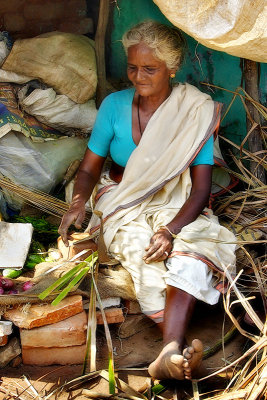 Her vegetable shop