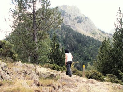 PICT0046.JPG