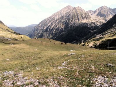 PICT0049.JPG