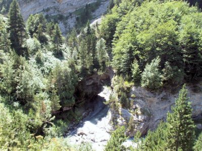 PICT0062.JPG